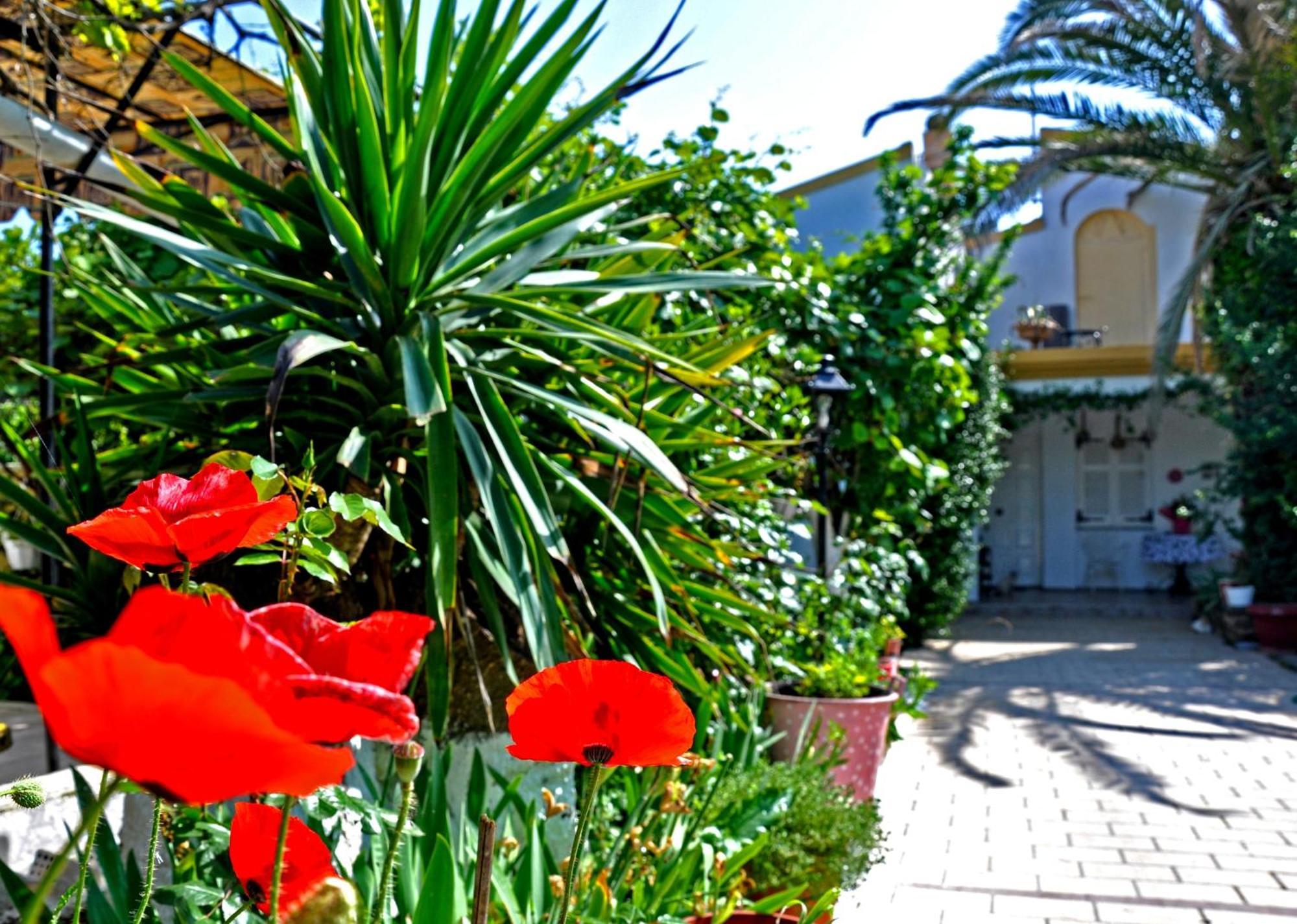 דאסיה Villa Elena Studios מראה חיצוני תמונה